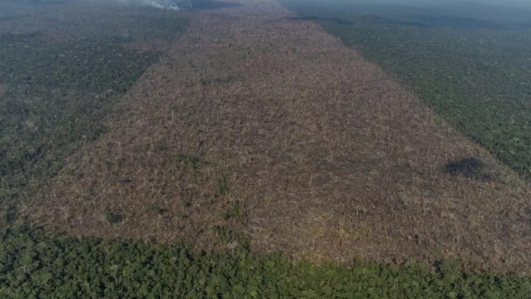 vista-aerea-de-uma-area-desmatada-na-amazonia-para-expansao-da-pecuaria-em-labrea-am-1632947992800_v2_900x506 Grande