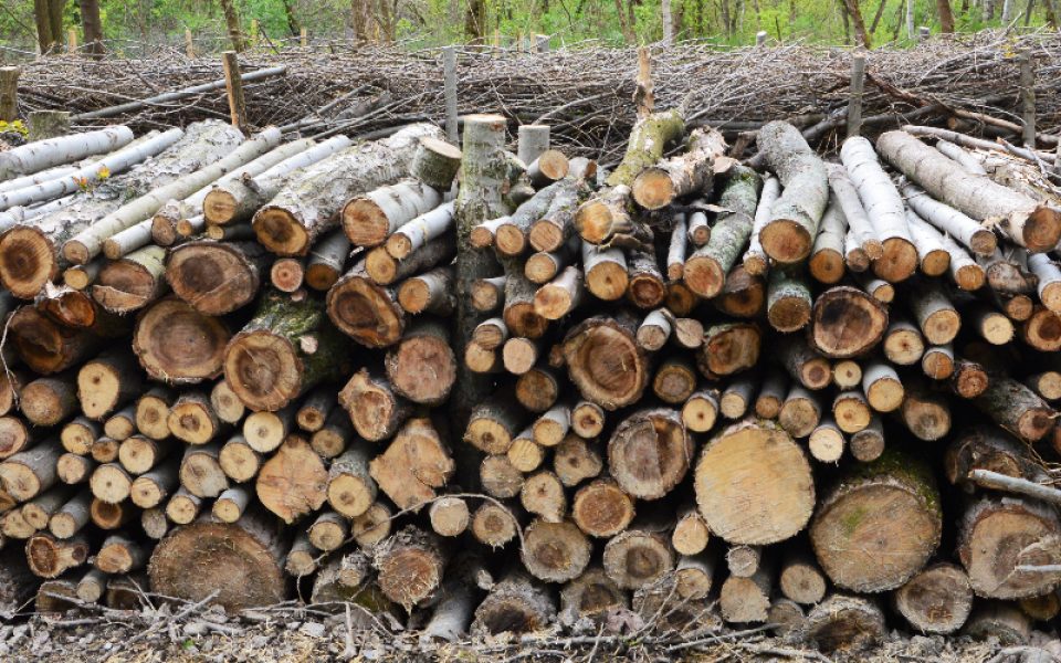 wallpaperflare.com_wallpaper-1