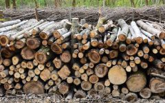 wallpaperflare.com_wallpaper-1