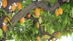 whatsapp-image-2024-07-14-at-133939