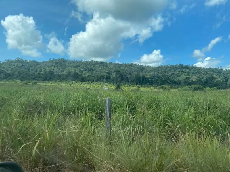 whatsapp-image-2025-03-14-at-07.08.33