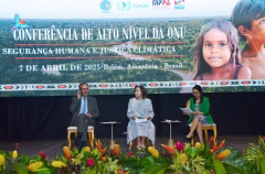 whatsapp-image-2025-04-08-at-17.54.10